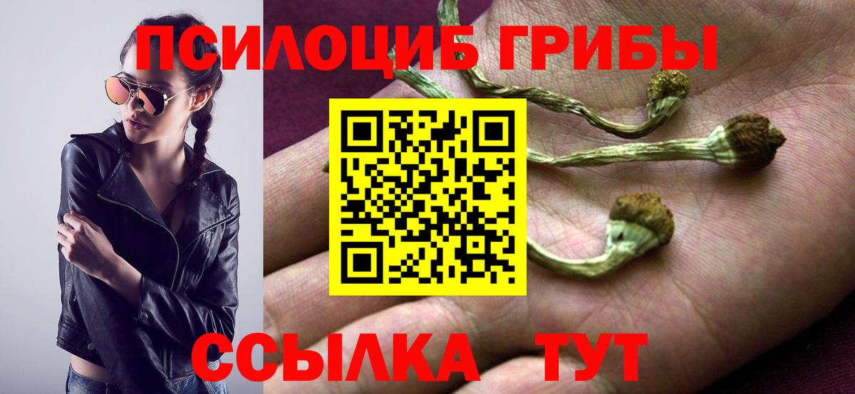 Галлюциногенные грибы Psilocybine cubensis Железноводск